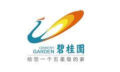 协做

同伴
